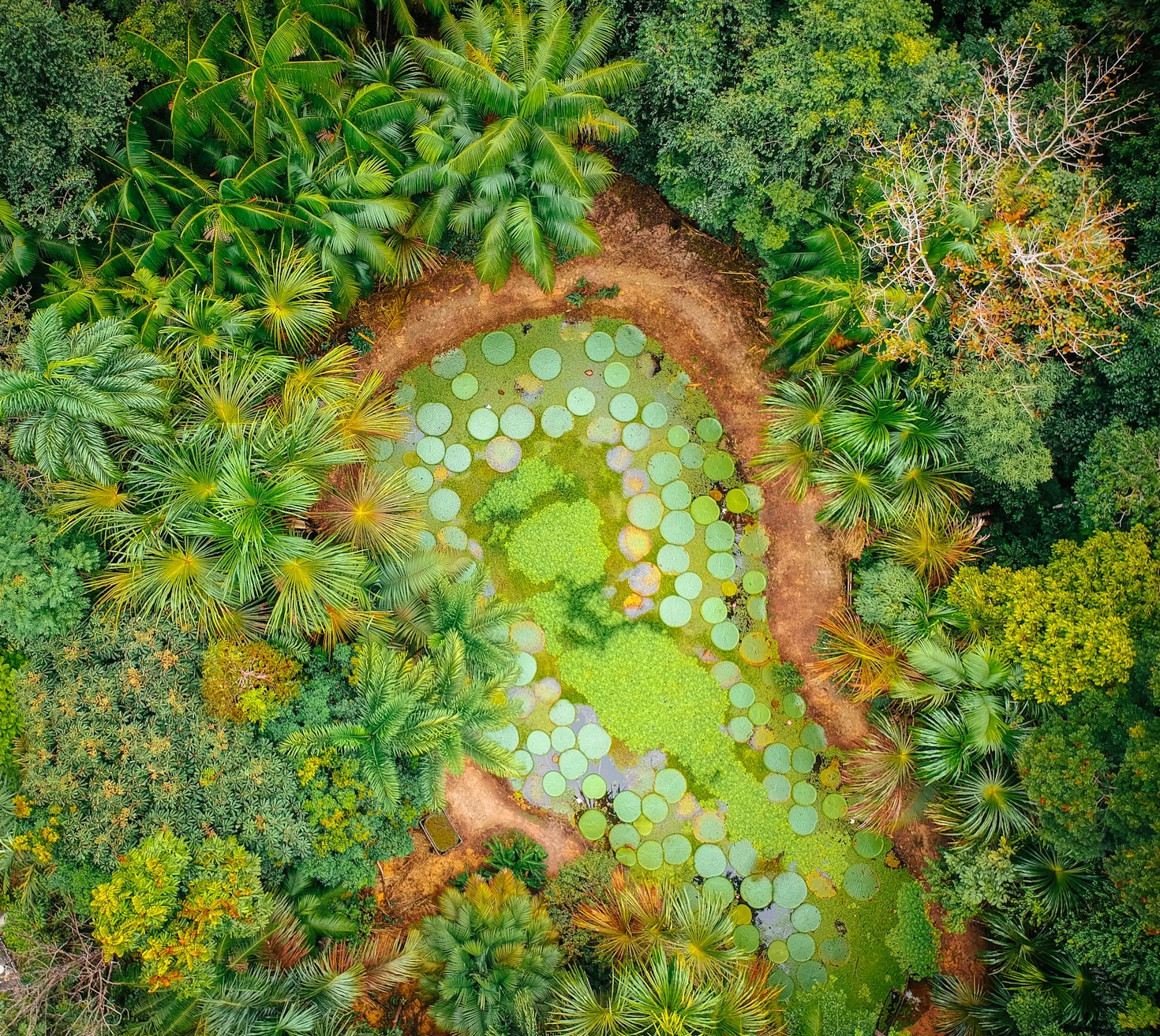 Onze grootste uitdagingen bij de aanleg van Hackenroth